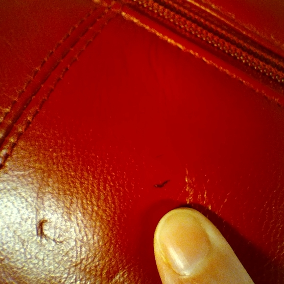 NWOT Coletta Real Leather Red Purse - Picture 14 of 16